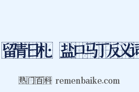 留青日札·盐口马丁反义词是什么意思的图片
